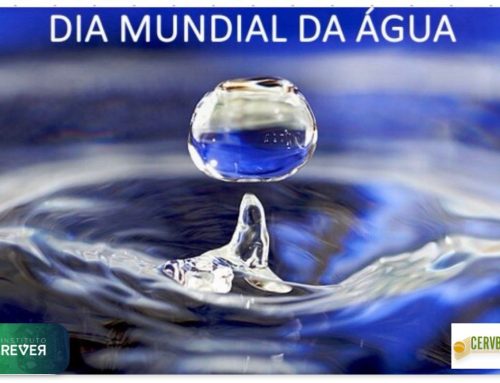 Dia Mundial da Água
